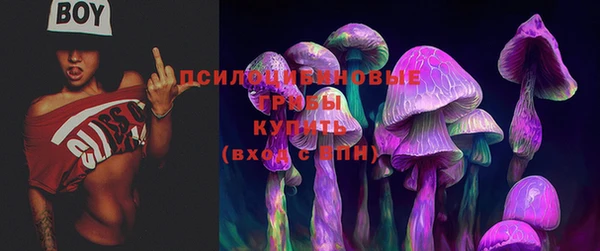 мескалин Аркадак
