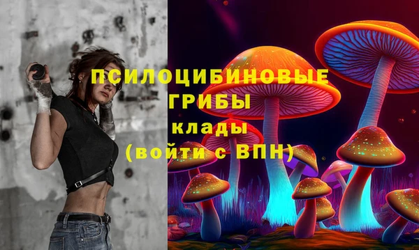гашик Армянск