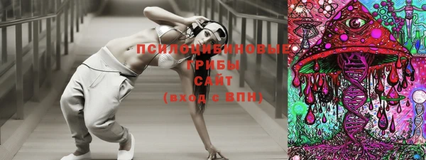 гашик Армянск