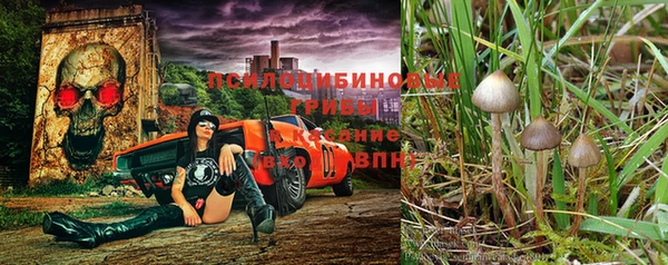 гашик Армянск